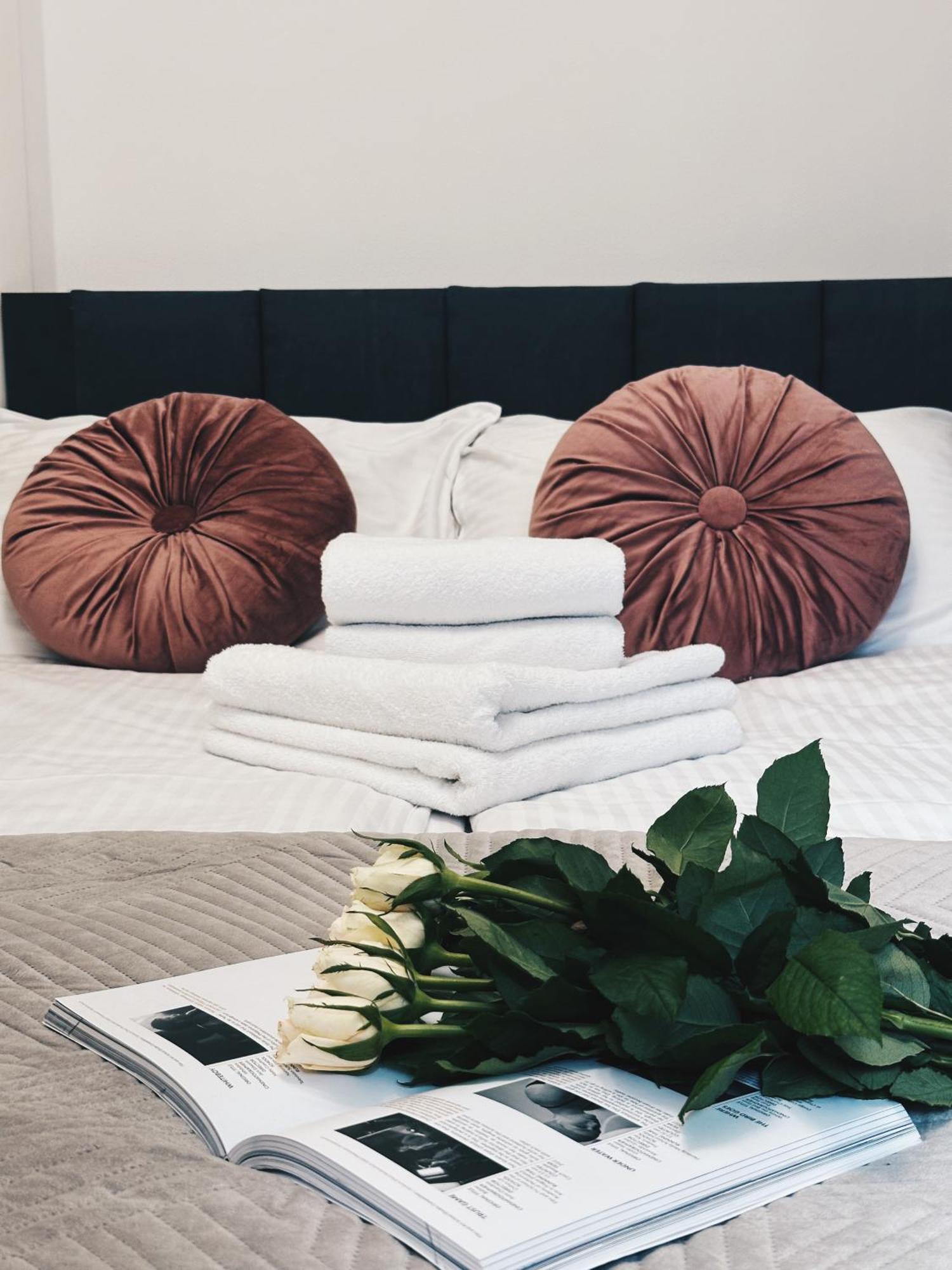 Soft Loft Apartamenty Stary Toruń المظهر الخارجي الصورة